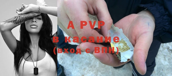 ГАЛЛЮЦИНОГЕННЫЕ ГРИБЫ Абаза