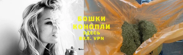 прущие грибы Абинск