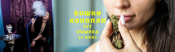 ГАЛЛЮЦИНОГЕННЫЕ ГРИБЫ Абаза