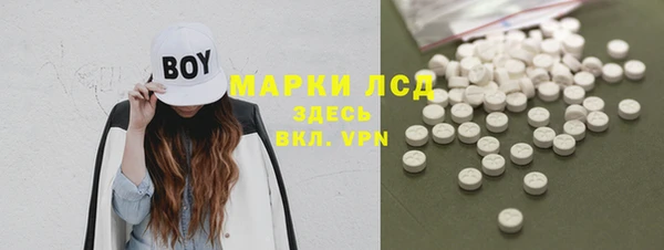 ГАЛЛЮЦИНОГЕННЫЕ ГРИБЫ Абаза