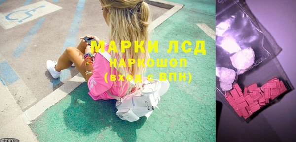 прущие грибы Абинск